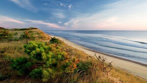 A coastal landscape with a sandy beach and grassy dunes. - Frederick William House (Falmouth)
