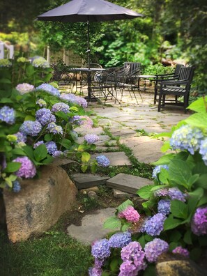 Terrace/patio - Frederick William House (Falmouth)
