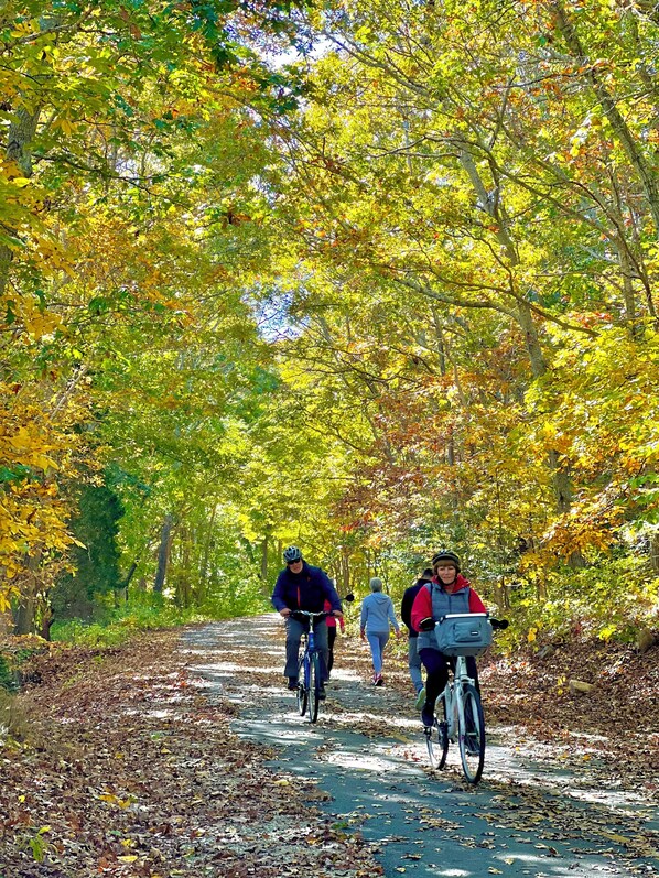 A pathway through a forest with cyclists. - Frederick William House (Falmouth)