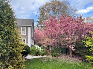 A residential house with a well-maintained garden, a white picket fence, and a driveway. - Frederick William House (Falmouth)
