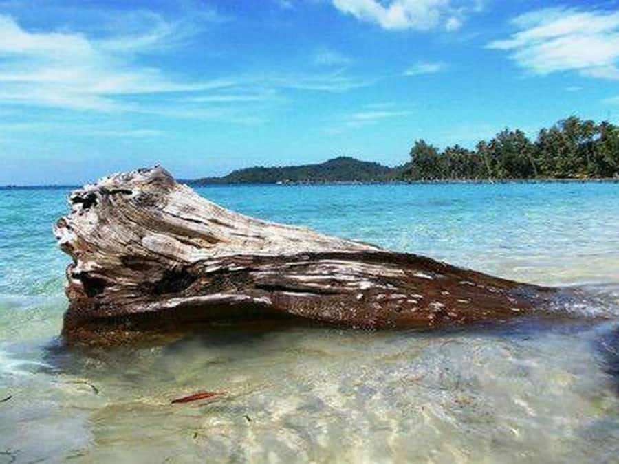 Een privéstrand, ligstoelen aan het strand, parasols, een strandbar