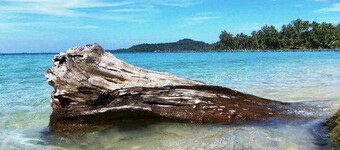 Dusita Resort Kohkood