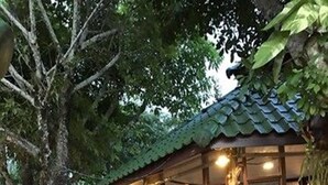 Un espace extérieur aménagé avec des tables et des bancs en pierre, entouré d’une végétation luxuriante et bordé d’un bâtiment de style traditionnel doté d’un toit en tuiles.