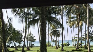 Un jardin bien entretenu, agrémenté de palmiers et offrant une vue sur l’océan.