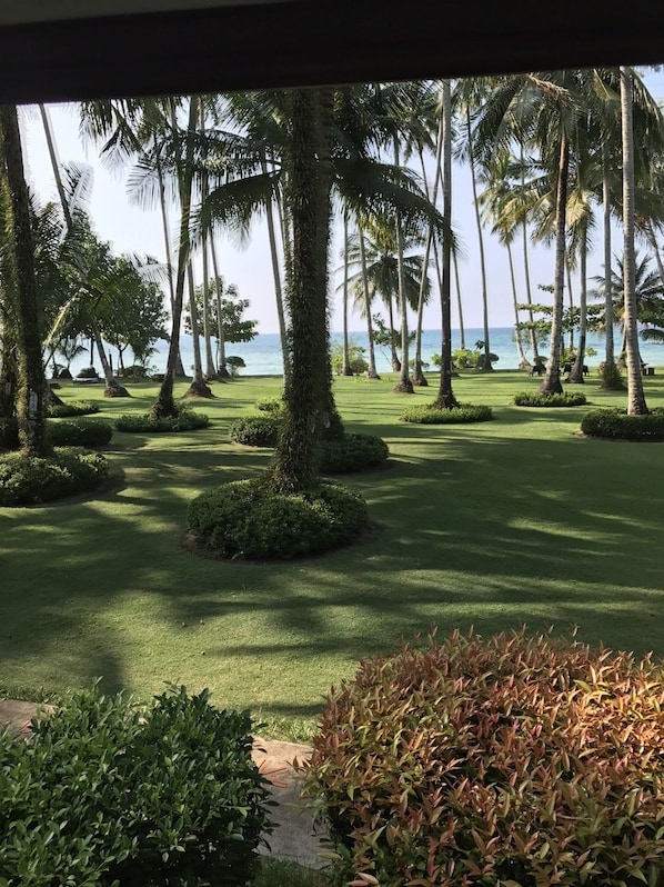 A well-maintained garden with palm trees and a view of the ocean.