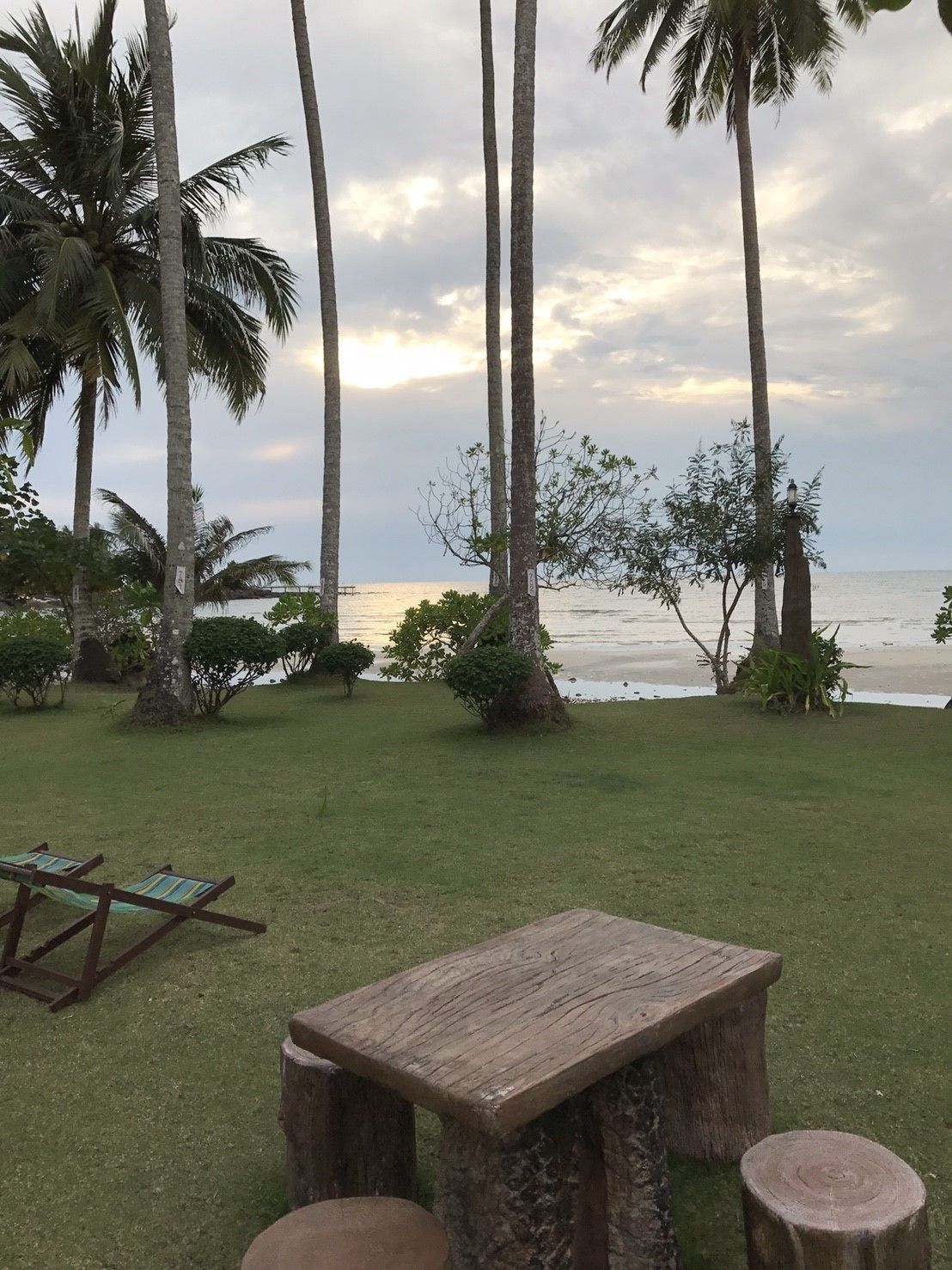 A wooden table with a bench, surrounded by tall palm trees and a view of the ocean.