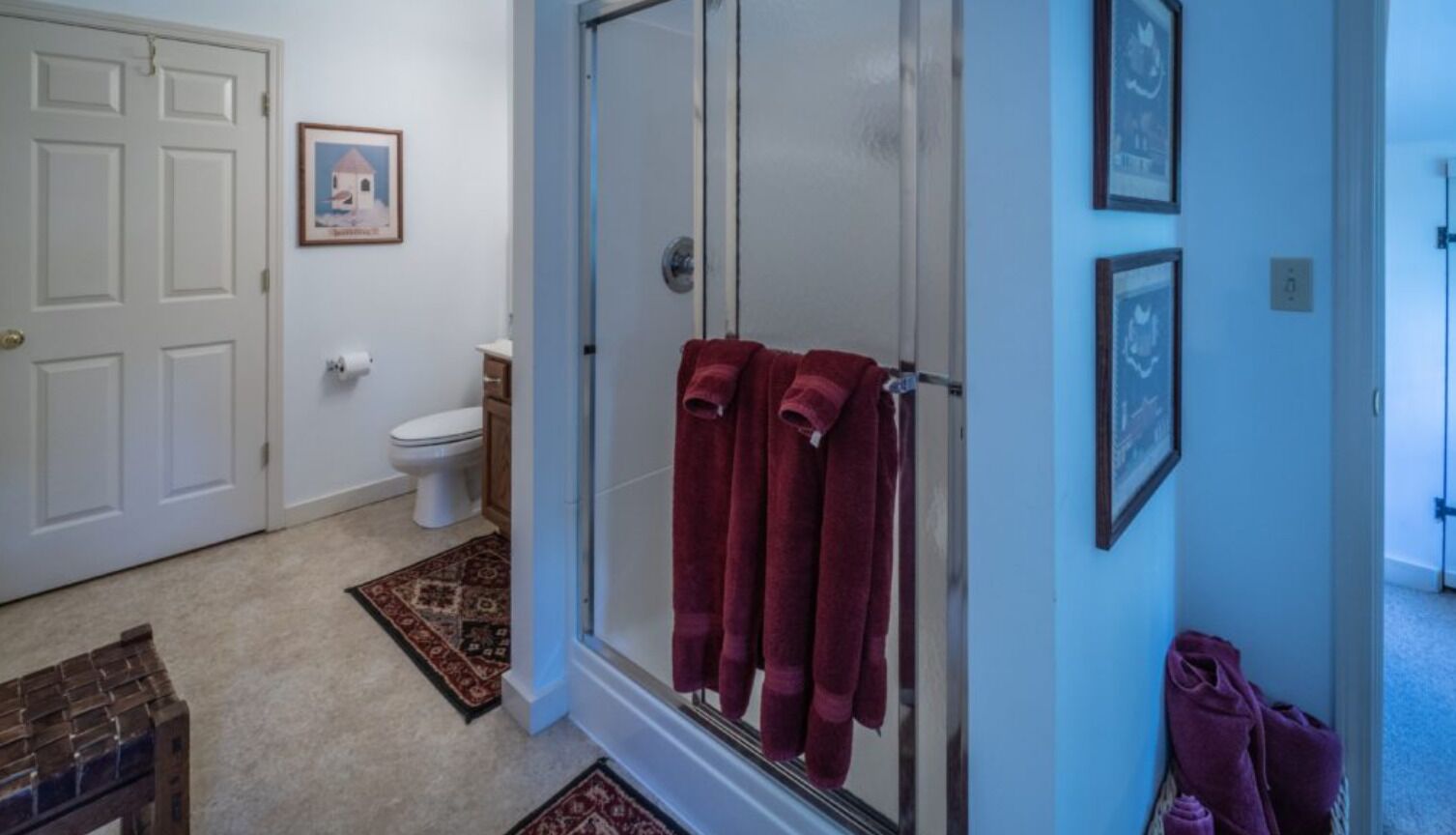 A bathroom with a glass shower door, a toilet, and a rug.