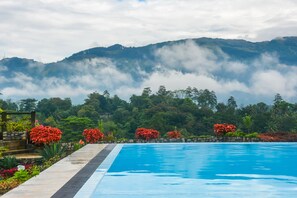 Outdoor pool - Elegant Hotel (Udunuwara)