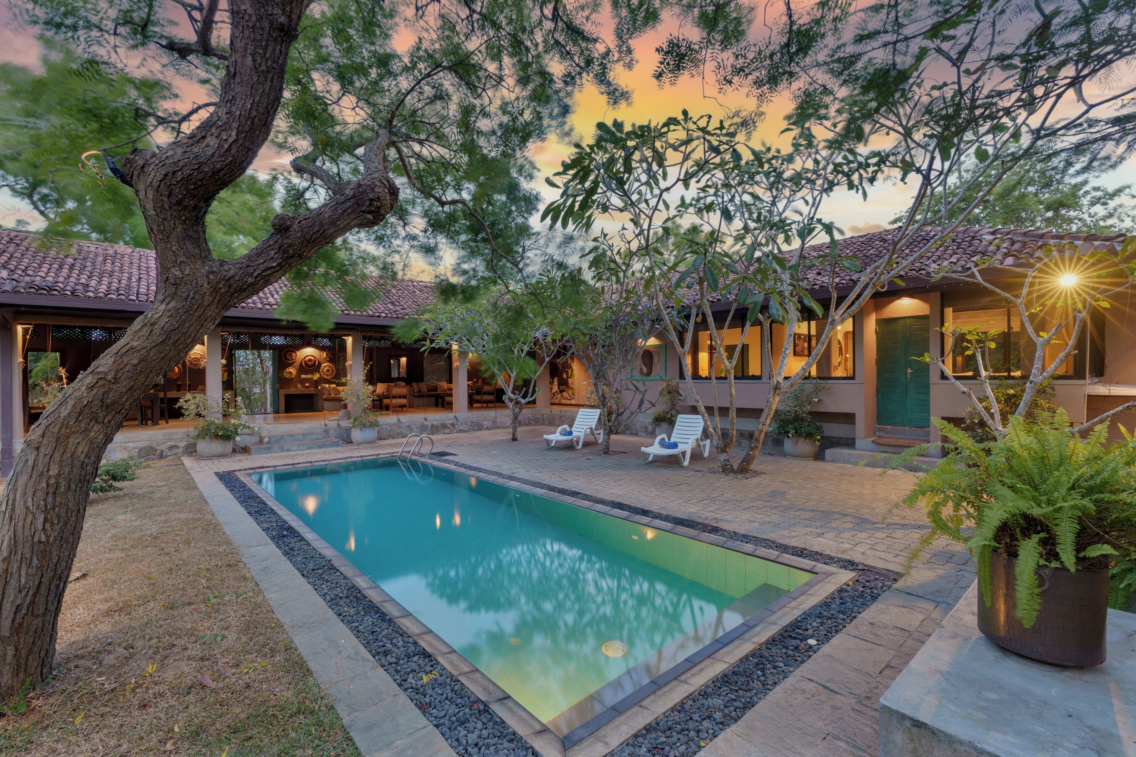 Outdoor pool, pool loungers