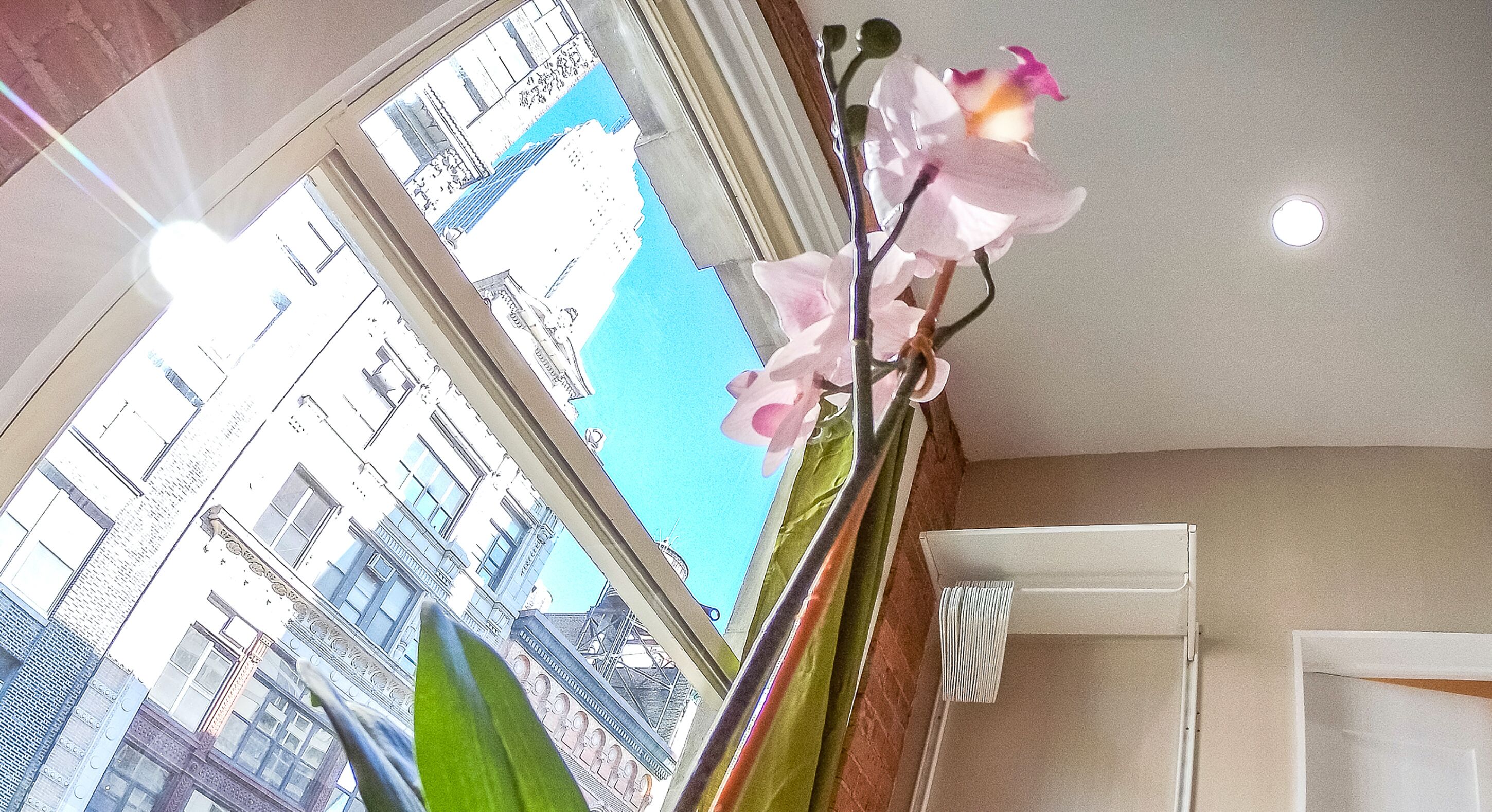 A room with a view of buildings through a window, a vase with flowers, and a ceiling light.