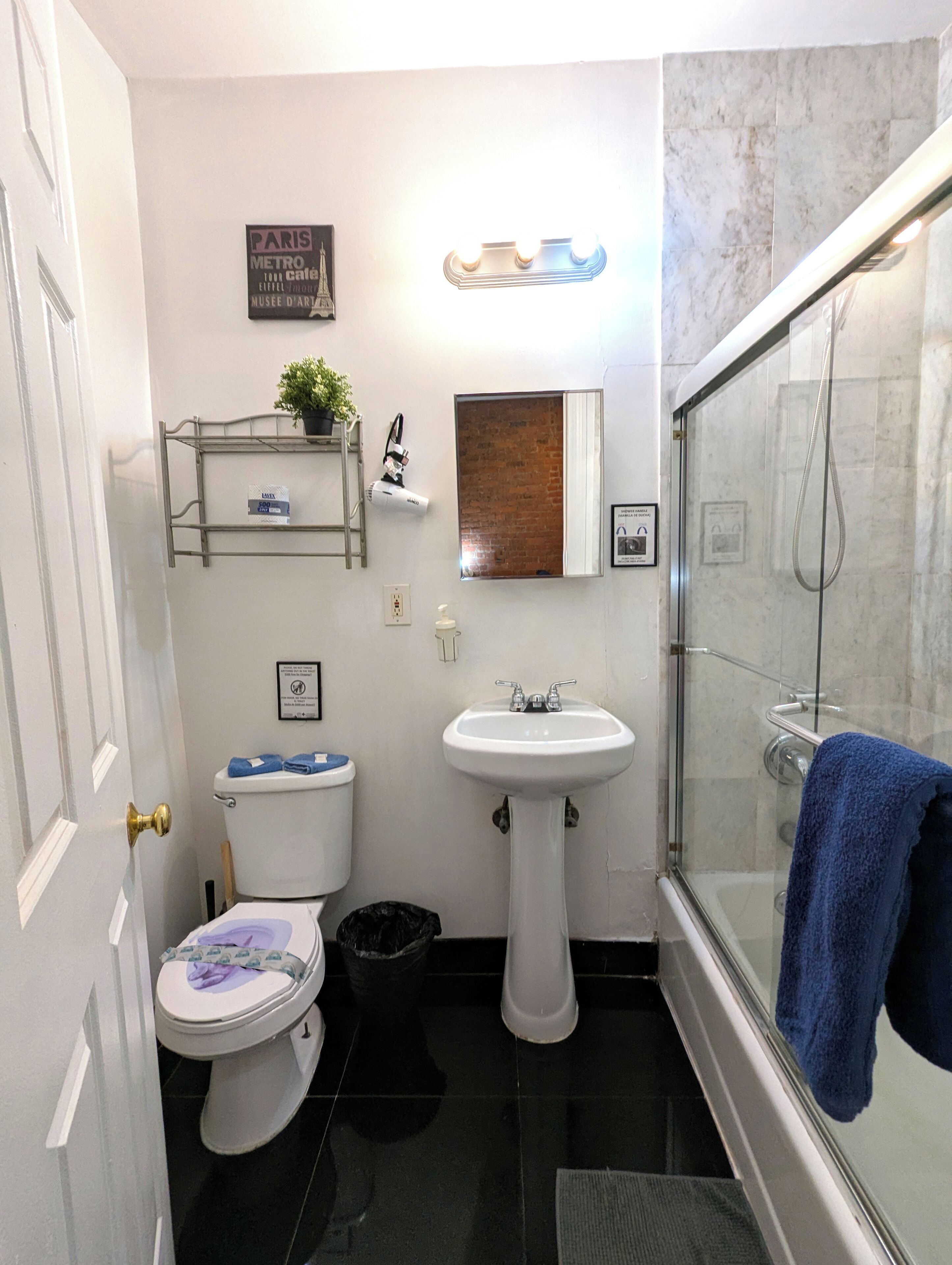 A bathroom with a toilet, sink, shower, and a small shelf with a plant.