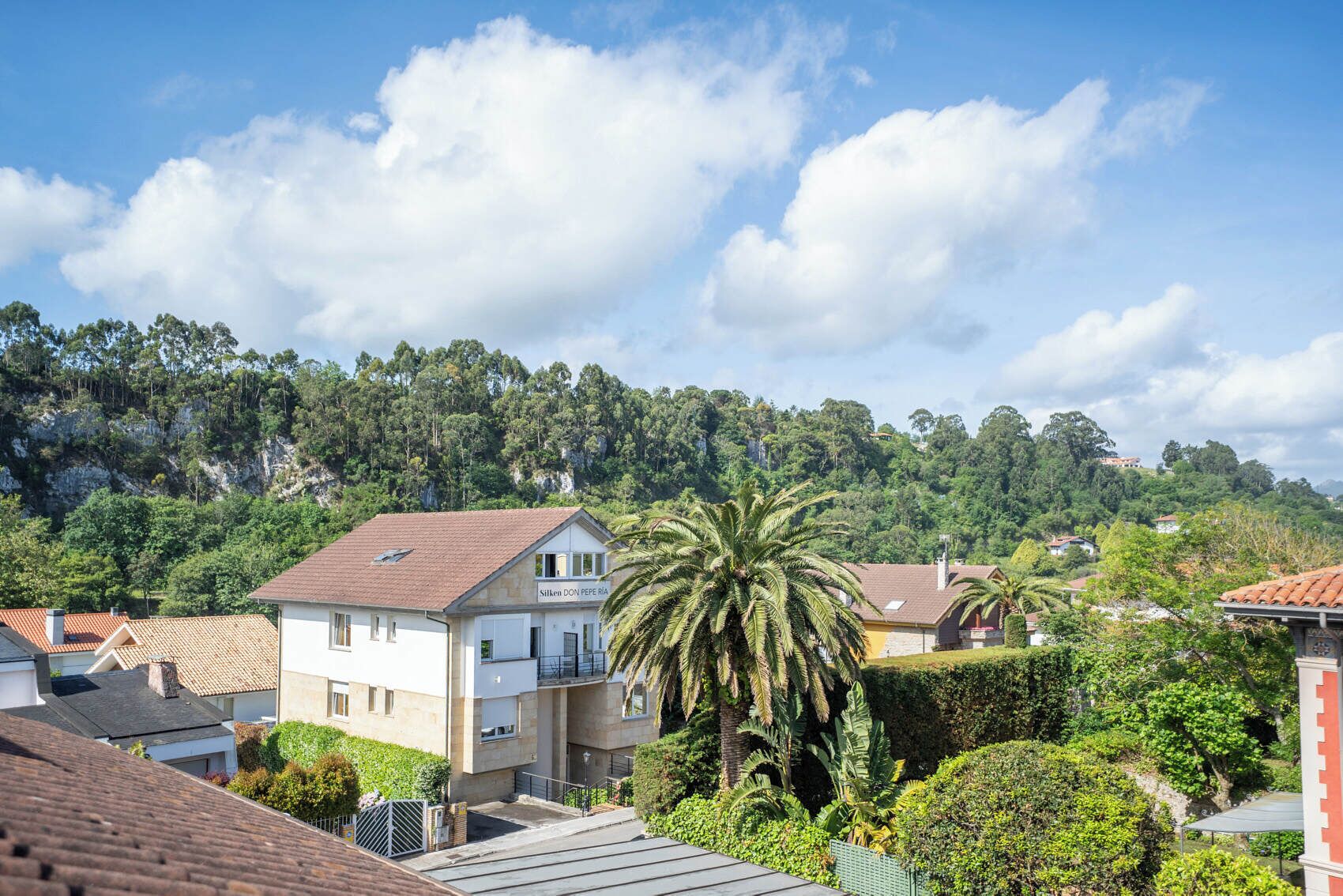 A residential area with houses, a prominent palm tree, and a hillside with dense vegetation.