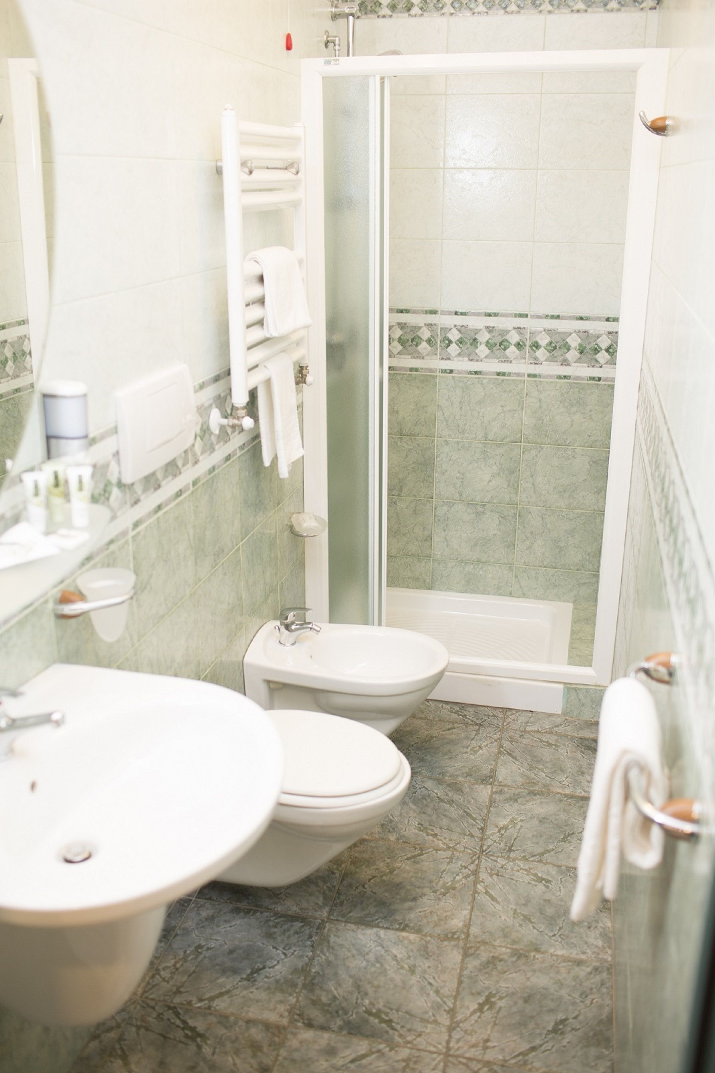 shower, free toiletries, hair dryer, bidet