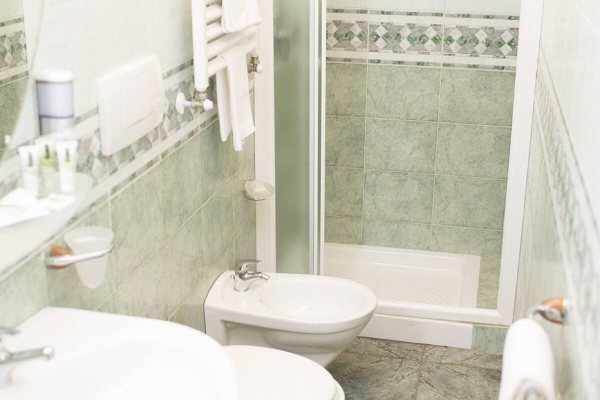 shower, free toiletries, hair dryer, bidet