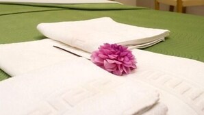 Desk, cribs (free), rollaway beds (surcharge), WiFi (free) - Pension Plaza (Gijon)