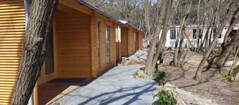 Ferienparadies Waldidylle