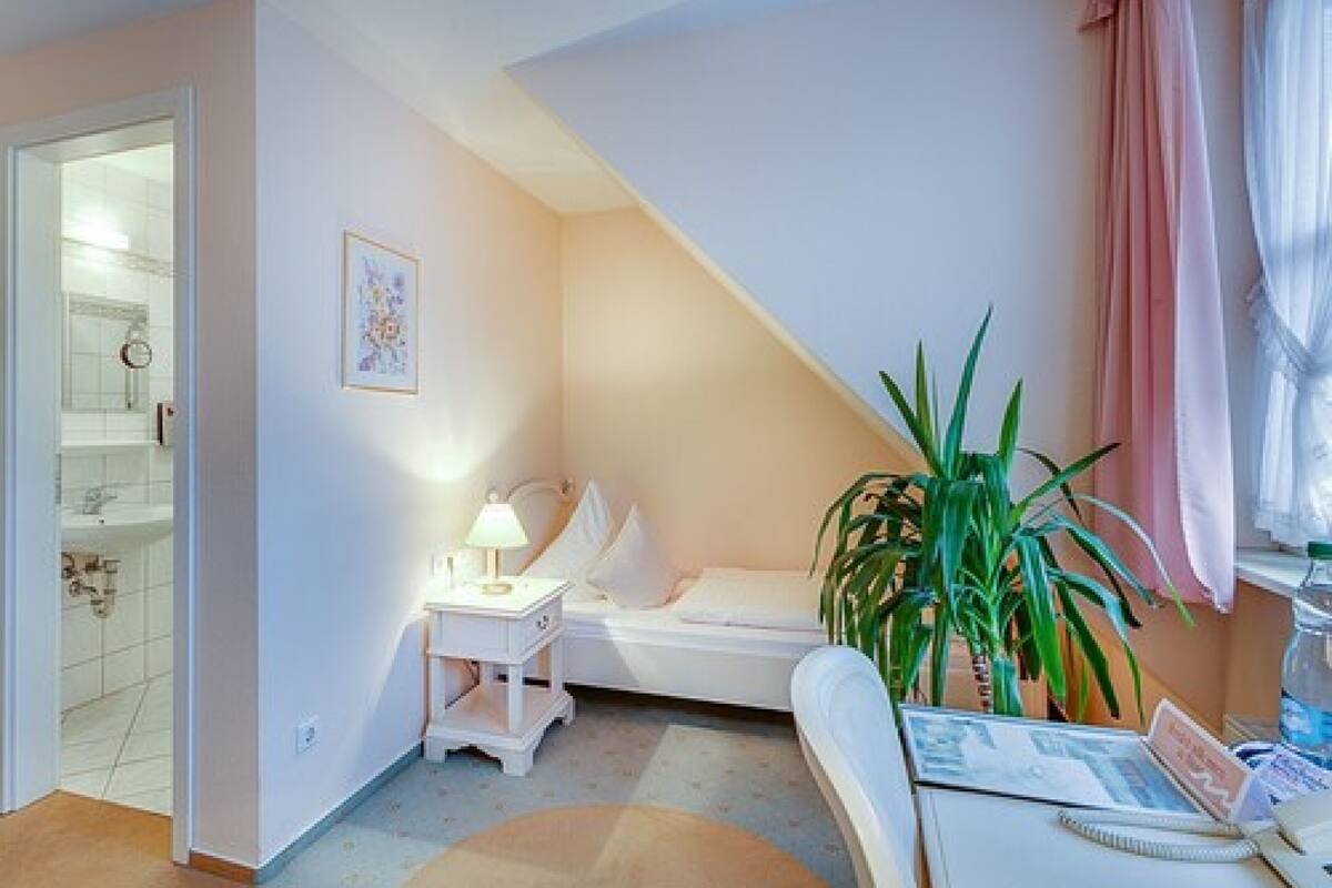 single room, non smoking | desk, iron/ironing board, free wifi, bed sheets