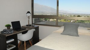 Une chambre avec une grande fenêtre, un bureau avec un ordinateur portable, une chaise, un lit avec des oreillers et une petite plante.