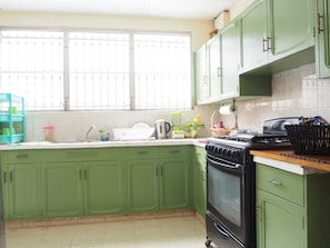 Full-sized fridge, microwave, oven, stovetop