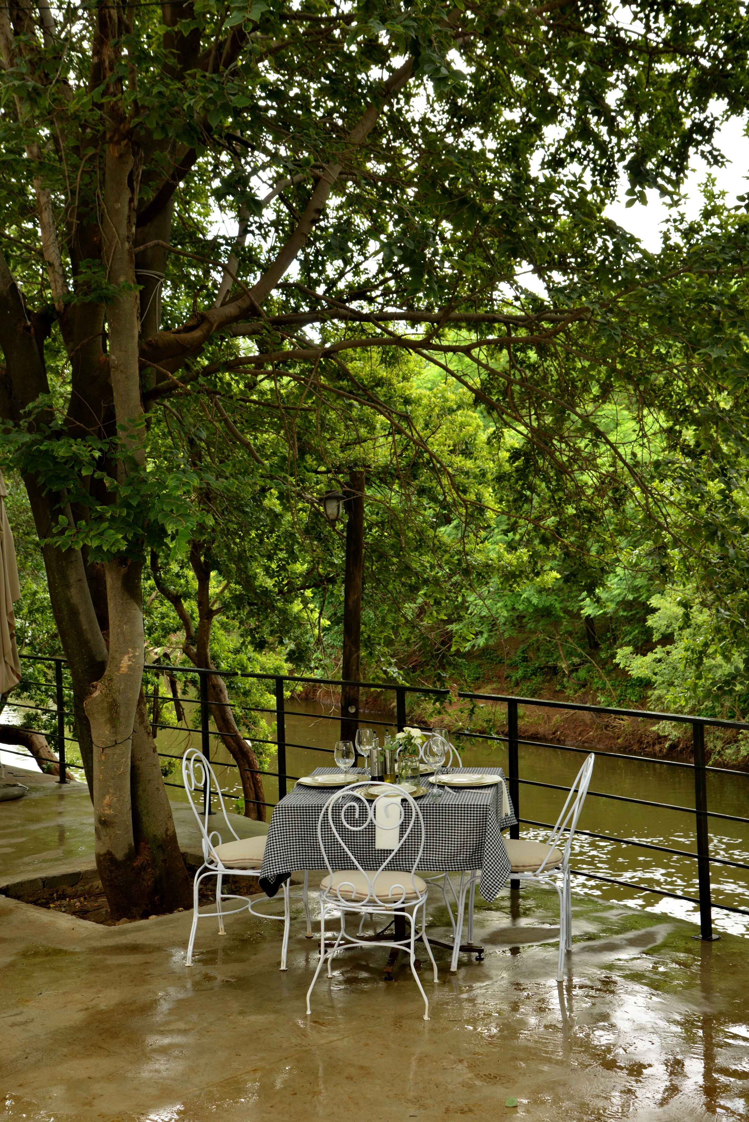 An outdoor dining area with metal chairs and tables, surrounded by trees and a river.