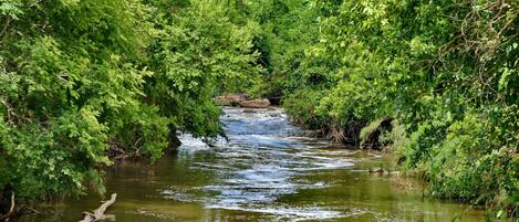 A river flowing through a densely wooded area with trees on both sides.
