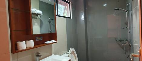 A modern bathroom with a sink, mirror, toilet, and shower.