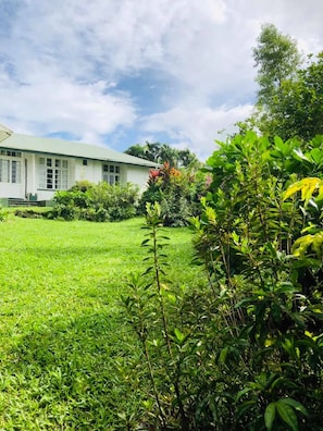 Garden - Five Princes Hotel (Suva)