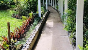 Un paseo techado con sendero de concreto, rodeado de abundante vegetación y pilares blancos.