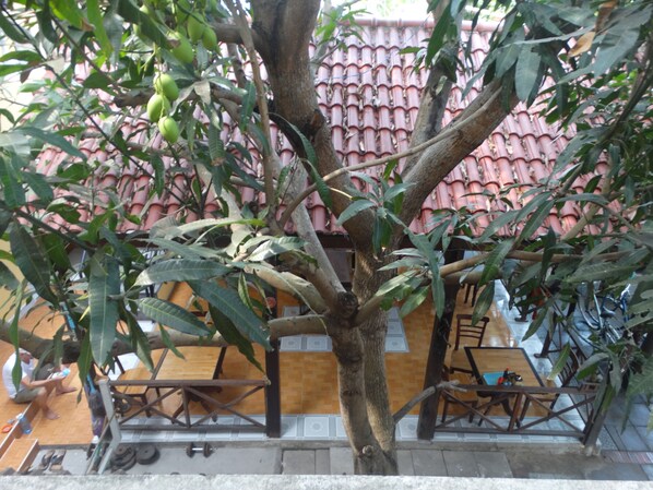 Twin Room, Garden View | Terrace/patio