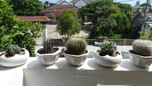 Potted cacti on a balcony with a view of residential buildings and trees. - Yellow House Homestay (Da Nang)
