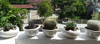 Yellow House Homestay