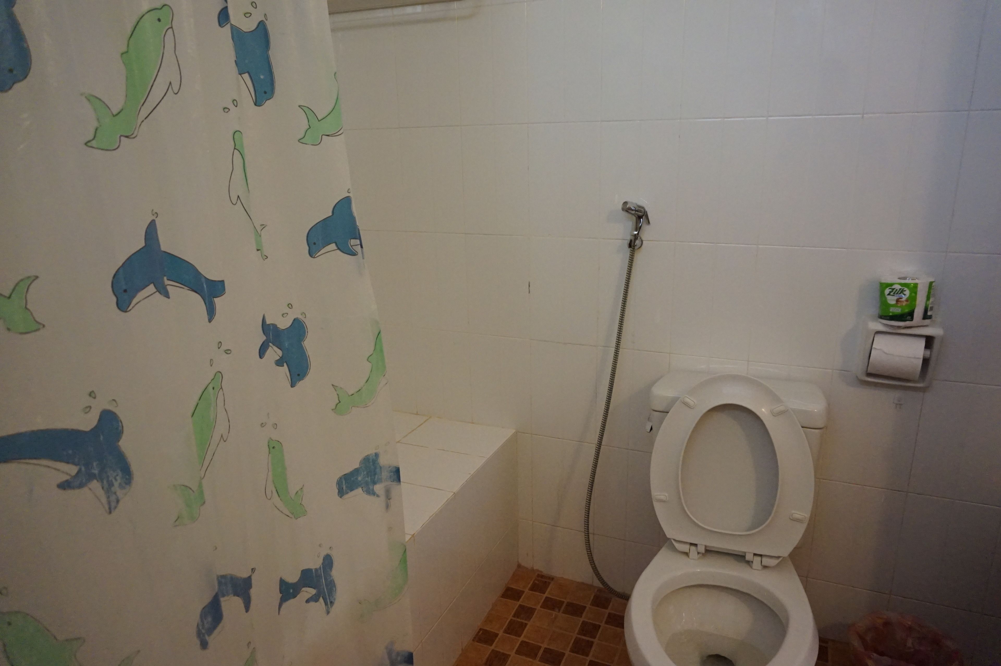 A bathroom with a toilet, a shower, and a curtain with dolphin patterns.