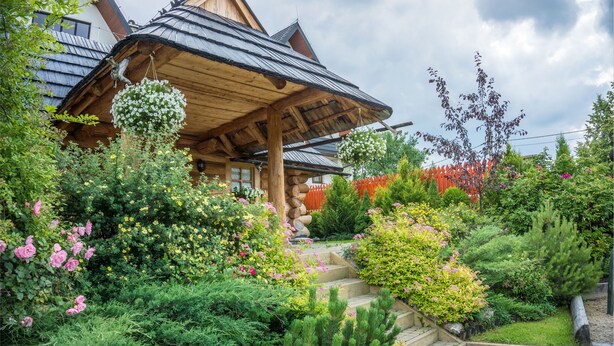 Et træhus med et skråt tag, omgivet af en frodig have med forskellige planter og blomster.