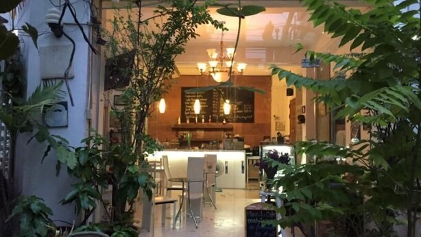 Un café acogedor con barra, rodeado de abundante vegetación.