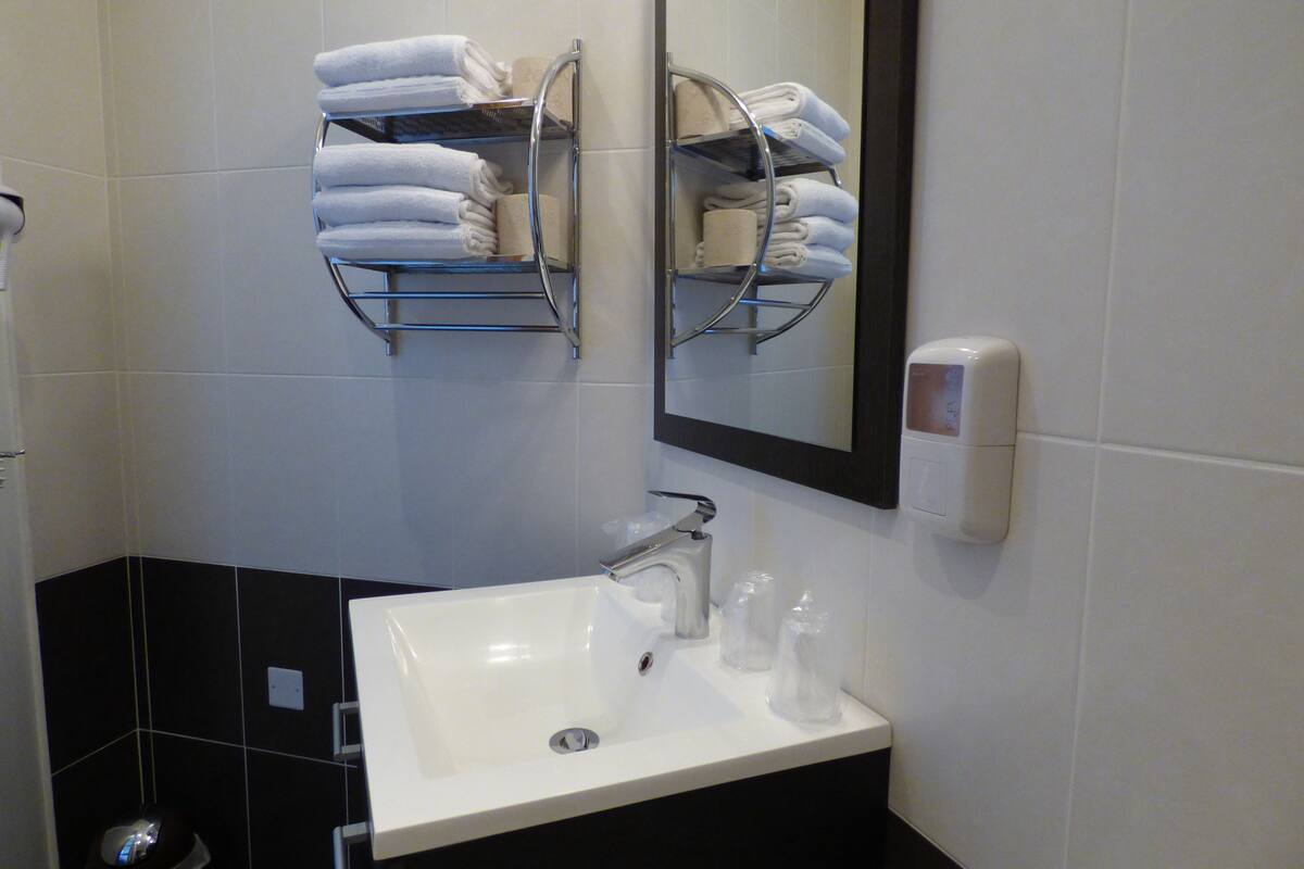 shower, free toiletries, hair dryer, towels