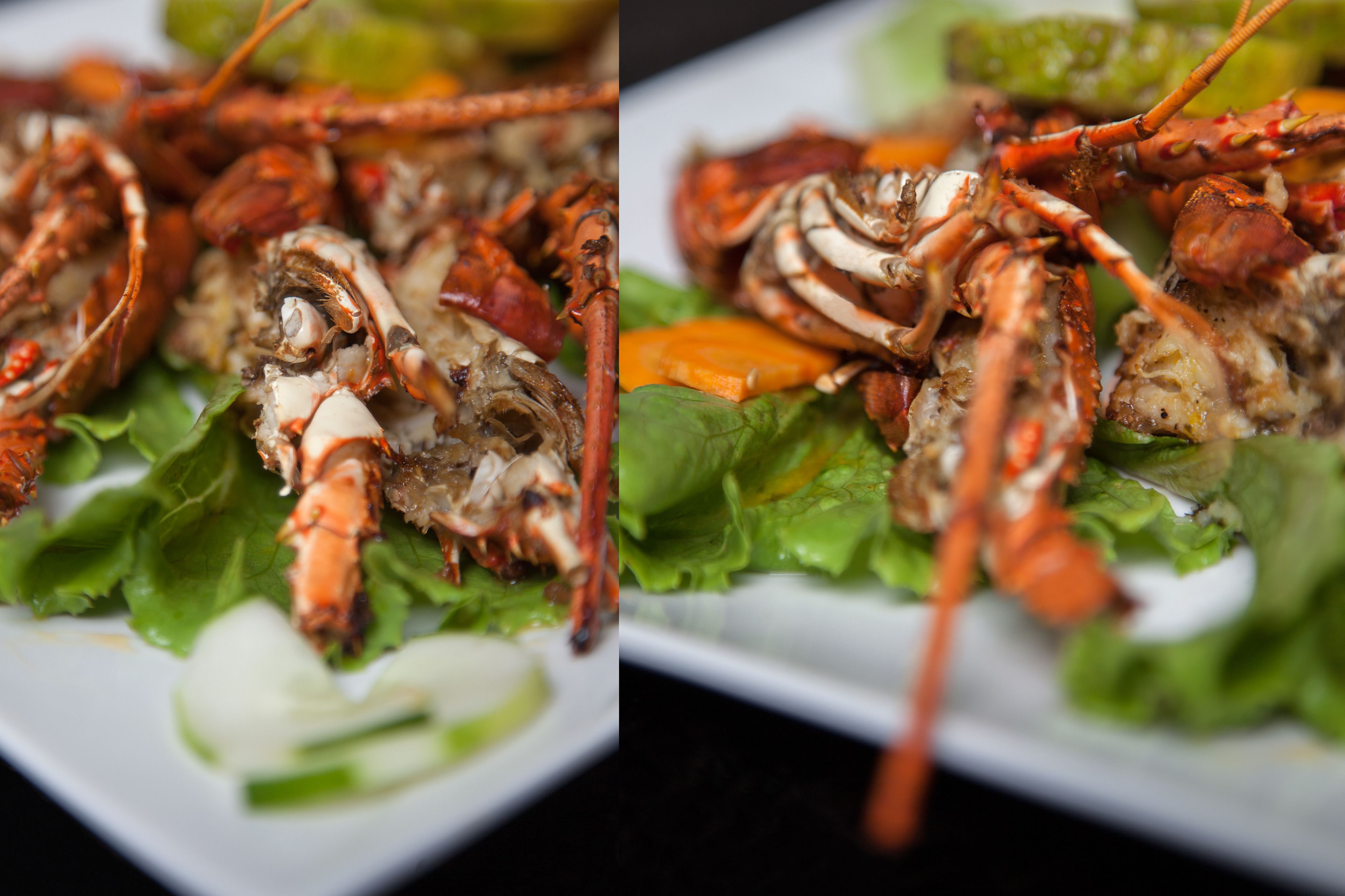 A plate of food with lobster, lettuce, and carrots.