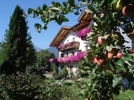 Esterni
