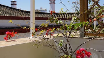 客房景觀
