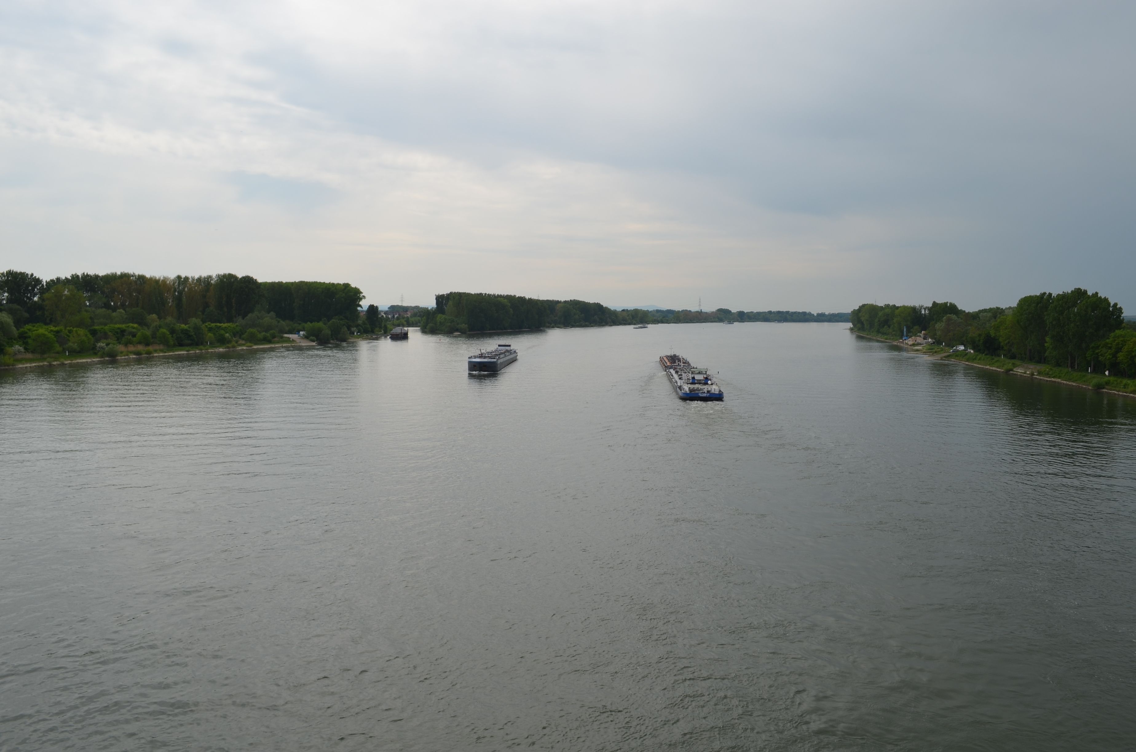 Photo - Zwei Raben Pension