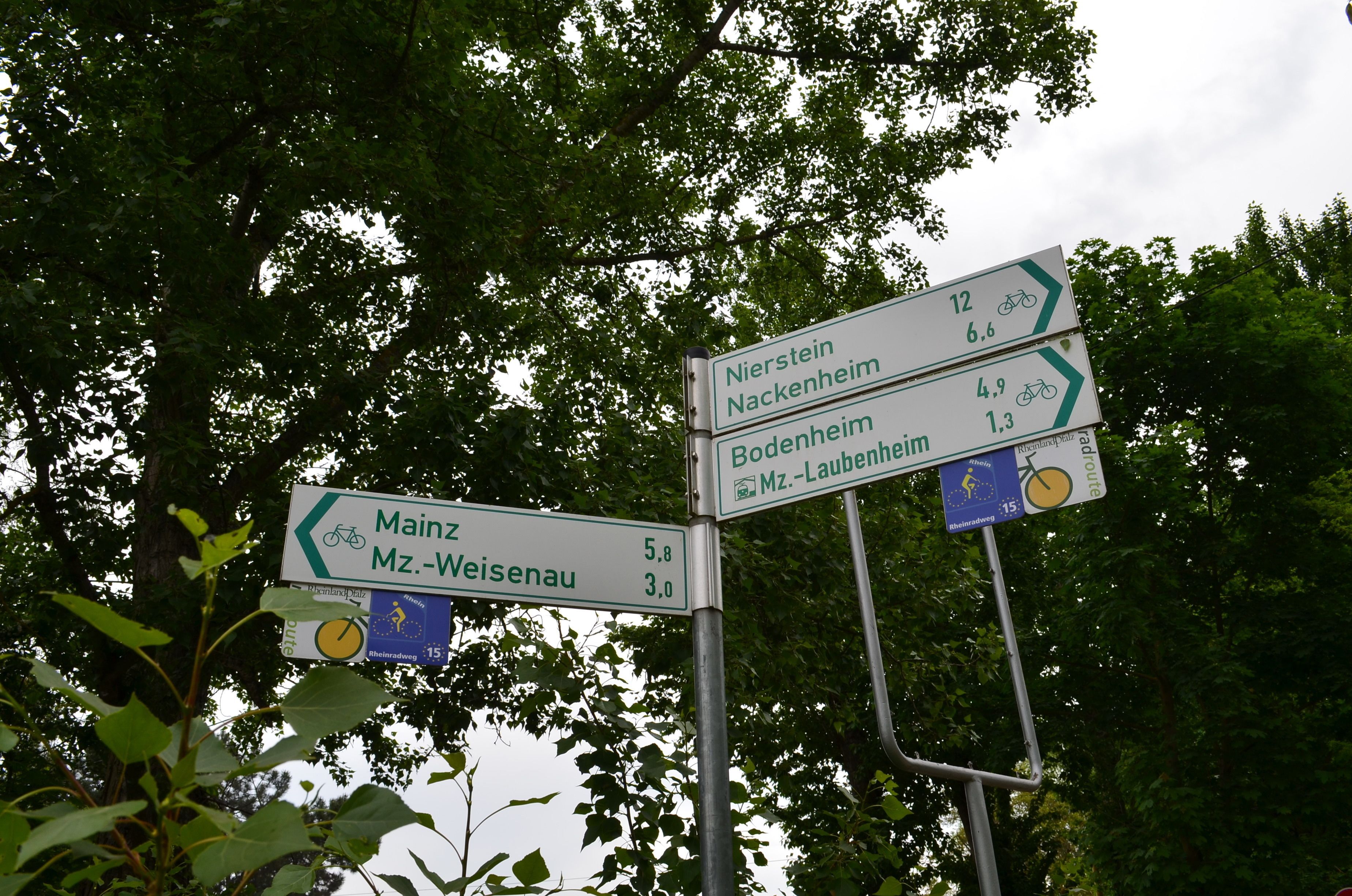 Photo - Zwei Raben Pension