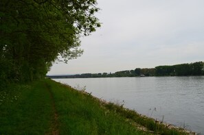 Un sendero junto al río con un puente a lo lejos, rodeado de vegetación.