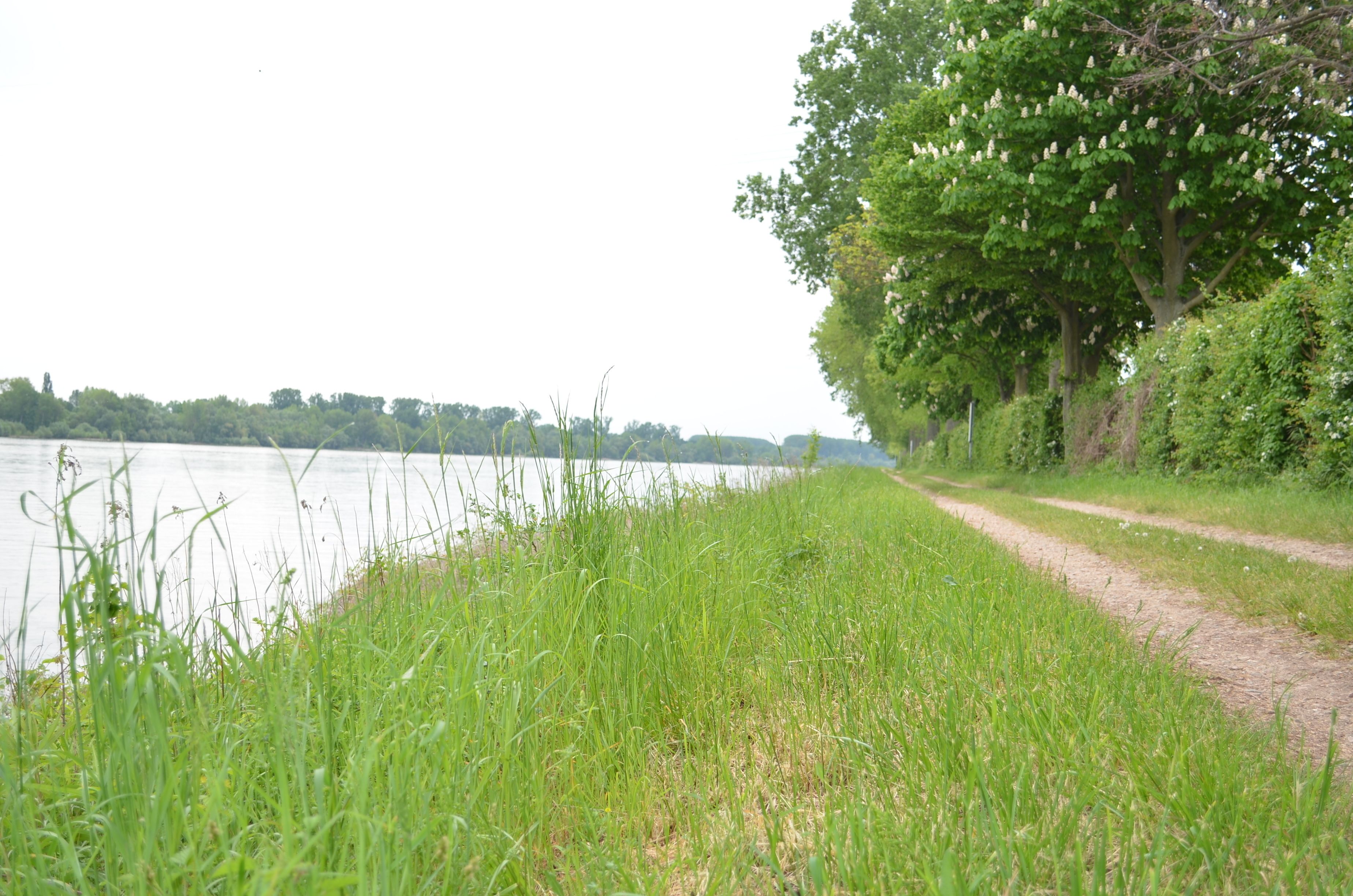 Photo - Zwei Raben Pension
