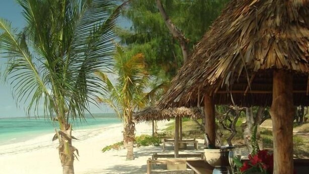 A beach scene with a thatched-roof hut, palm trees, and a sandy beach. - Chuiba Bay Lodge (Pemba)