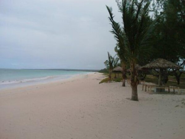 Una playa con vista despejada al océano, palmeras y construcciones de techo de paja.
