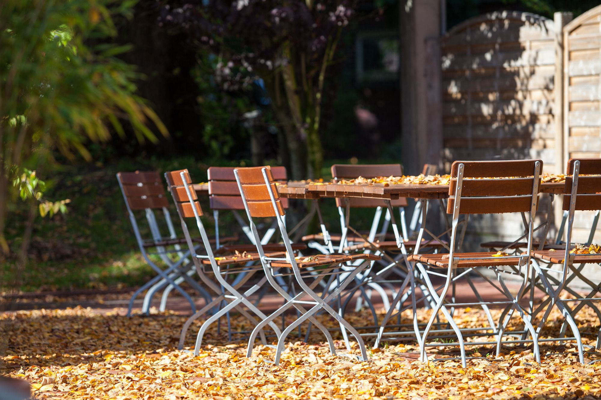 Outdoor tables and chairs with metal frames and wooden seats, surrounded by fallen leaves.