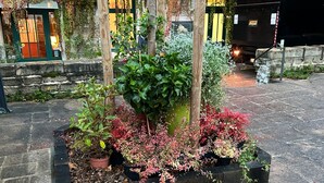 Una jardinera con diversas plantas y una estructura de madera.