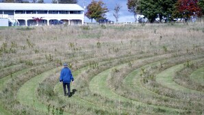 A person walking on a grassy field with terraced hills. - Singing Sands Inn Motel (Kingsboro)
