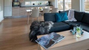 A modern living room with a dark sofa, a coffee table with magazines and glasses, and a fluffy dog. - Hotel Kjarnalundur (Akureyri)