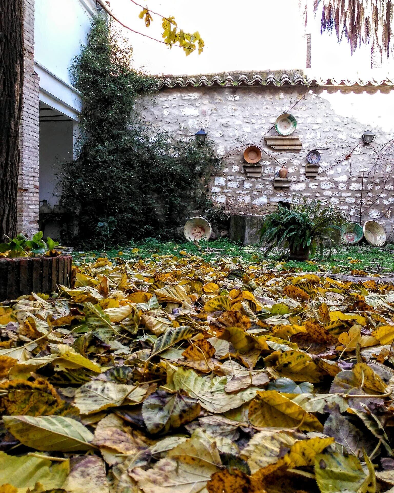 Foto - Hotel Ordoñez Sandoval