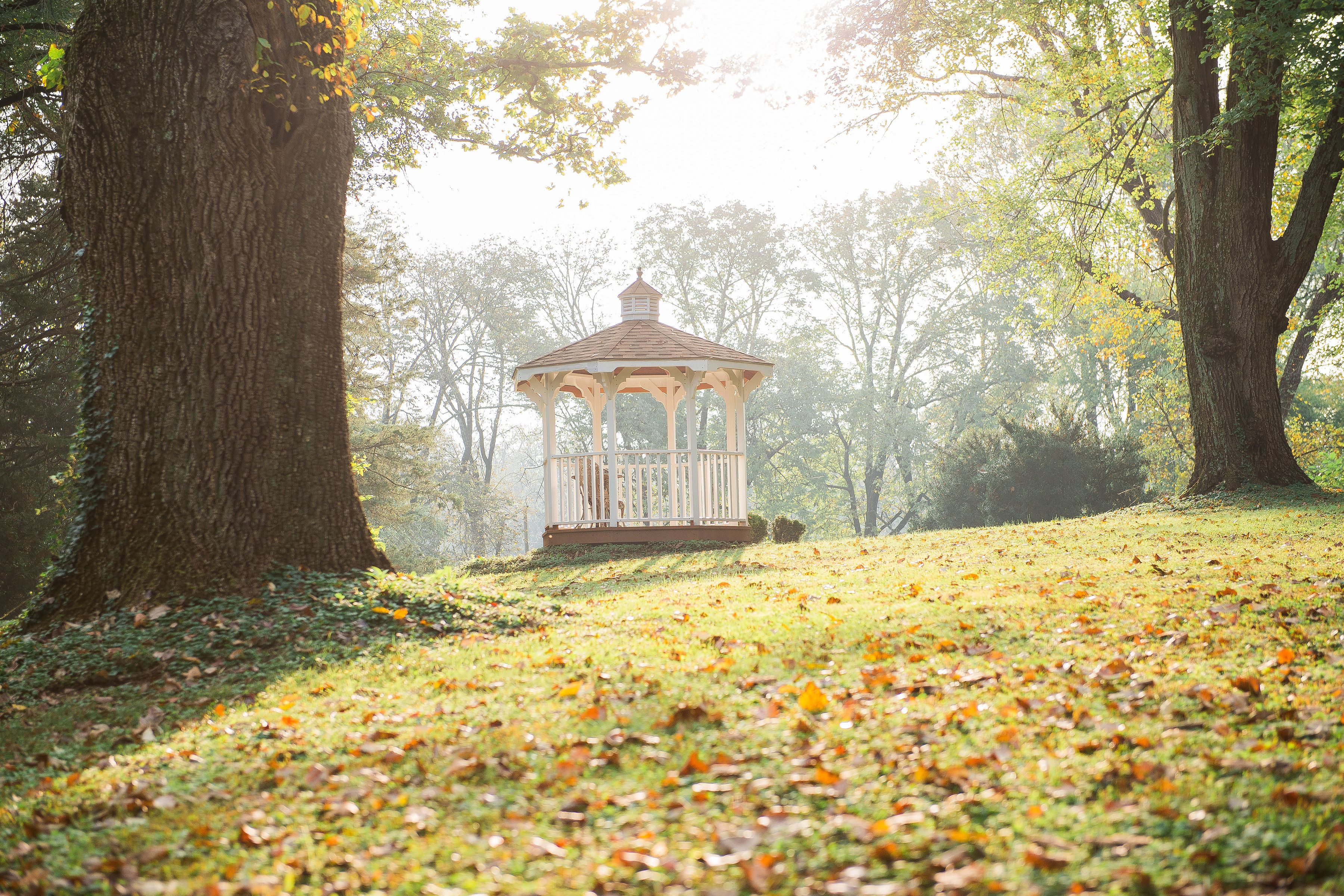 A gazebo in a park with trees and grass.